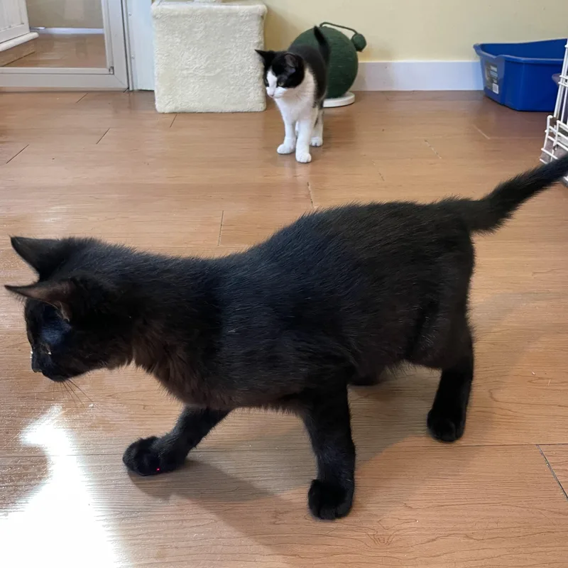 Mika & Marley thumbnail 4