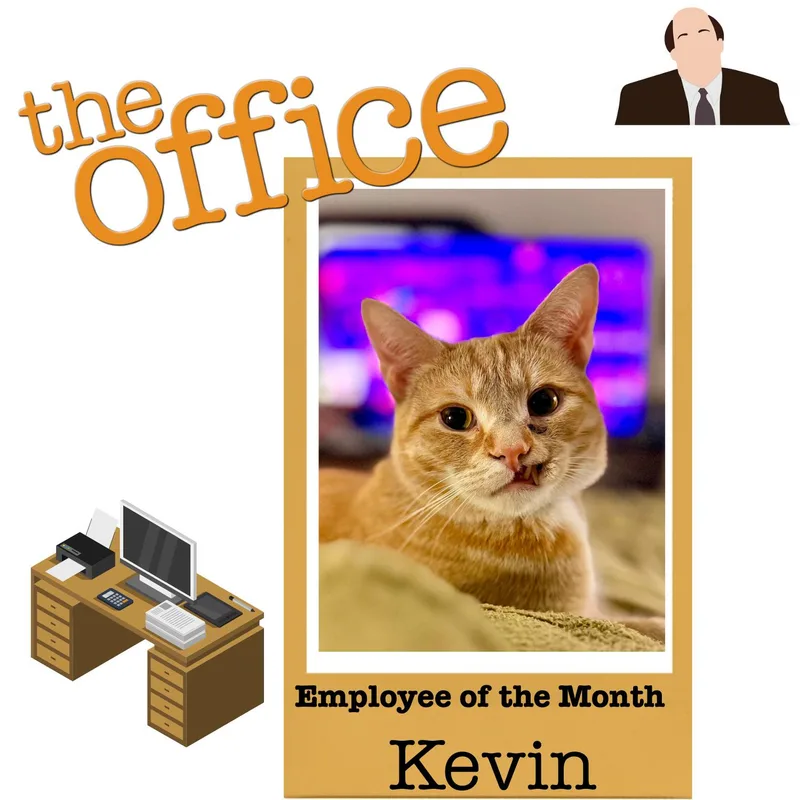 Kevin thumbnail 4