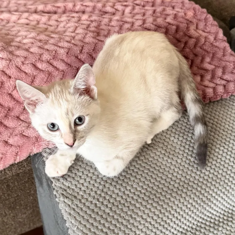 Blanca thumbnail 2