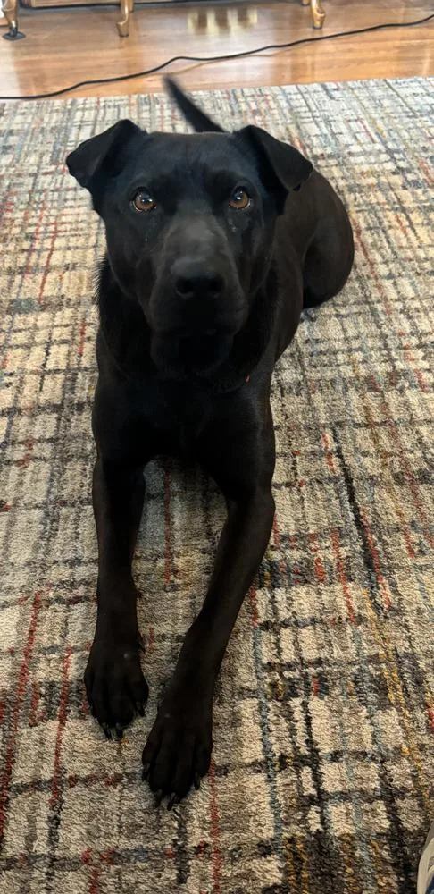 Cd Bianca thumbnail 2