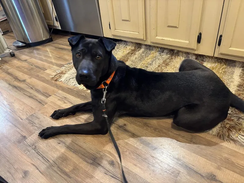 Cd Bianca thumbnail 5