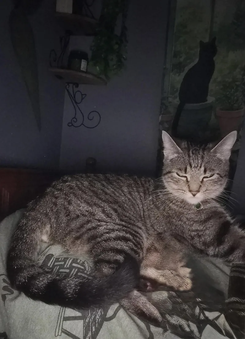 Francis  Riley Fuzzel thumbnail 2