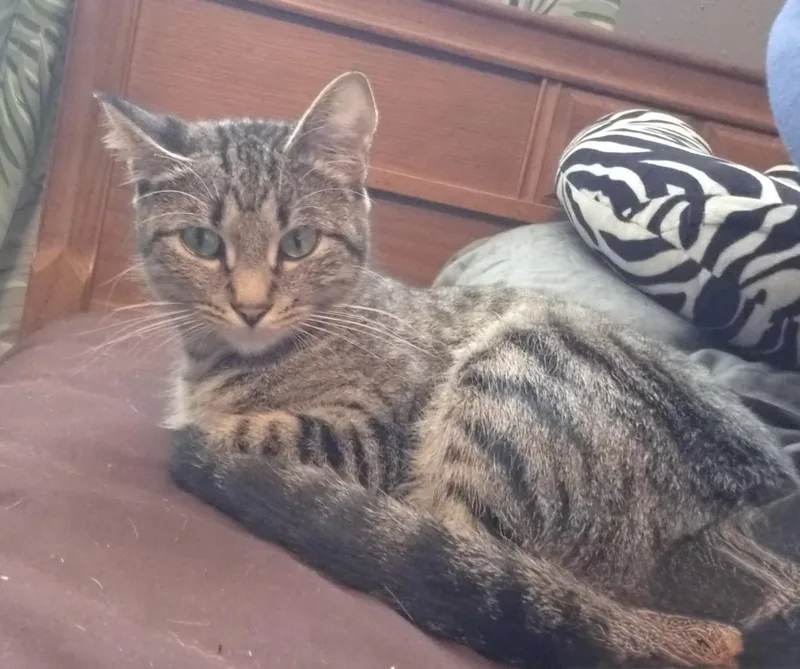 Francis  Riley Fuzzel thumbnail 3