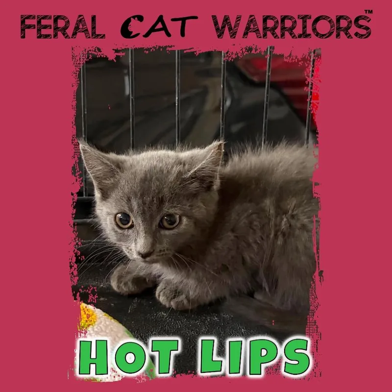 Hot lips
