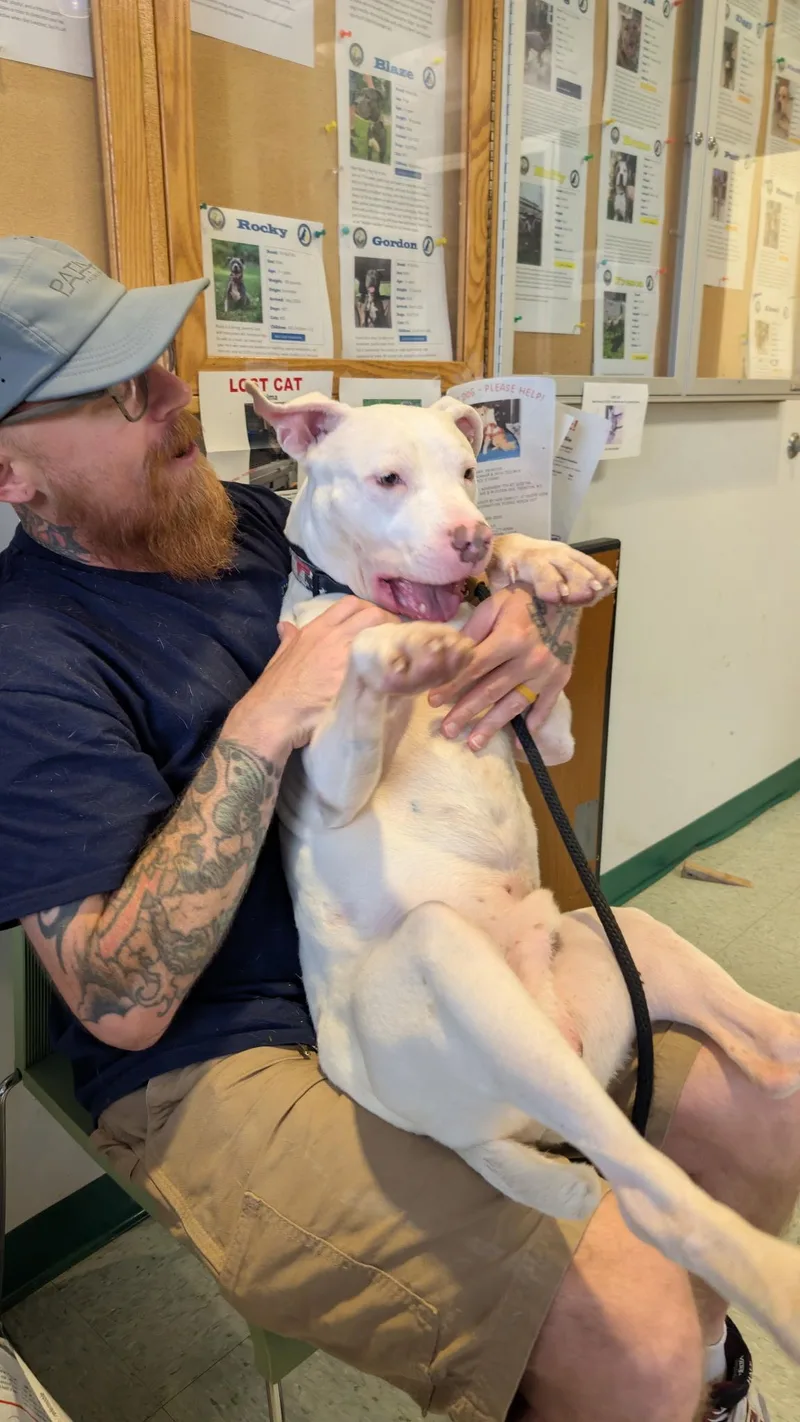 Gridley A Loving Miracle thumbnail 2