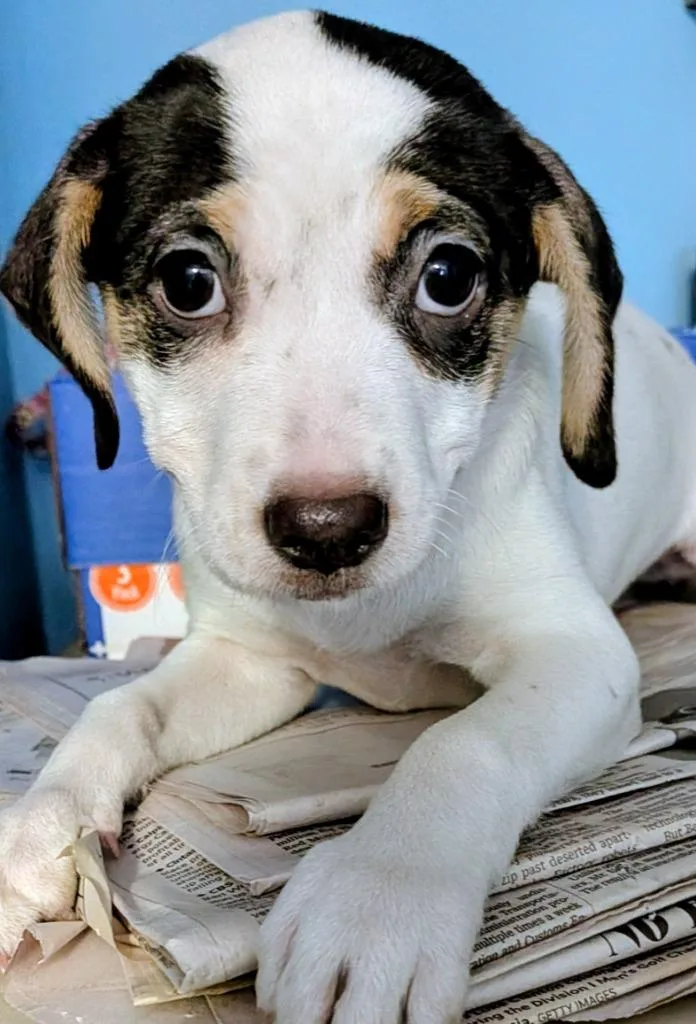 Matilda
