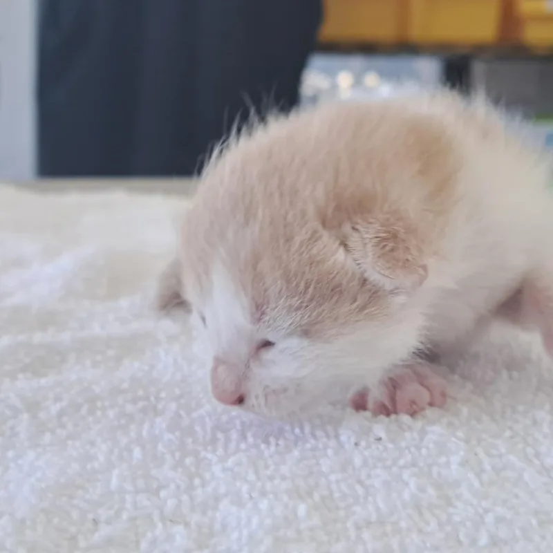 Winnie thumbnail 2