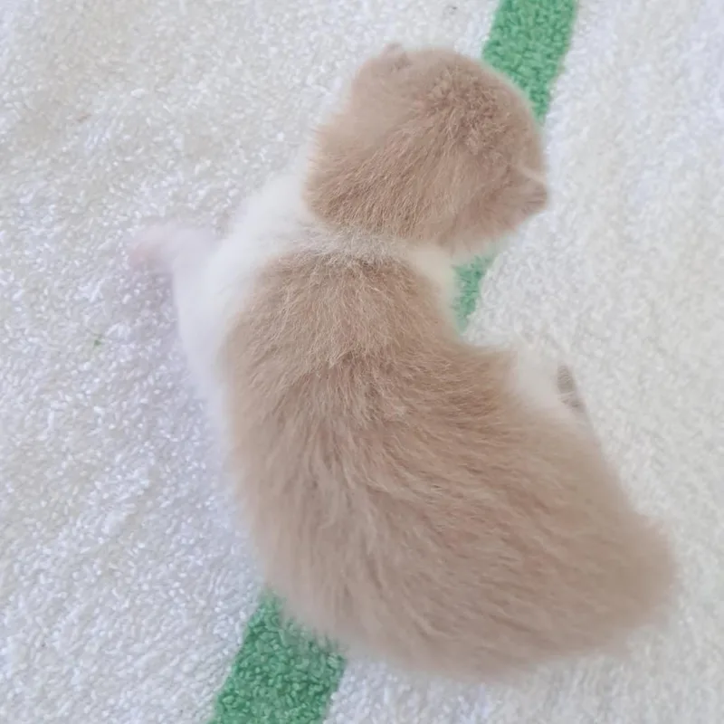 Winnie thumbnail 3