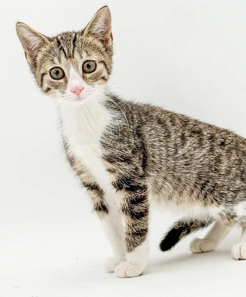 Lucy is a baby thumbnail 2