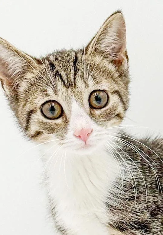 Lucy is a baby thumbnail 3