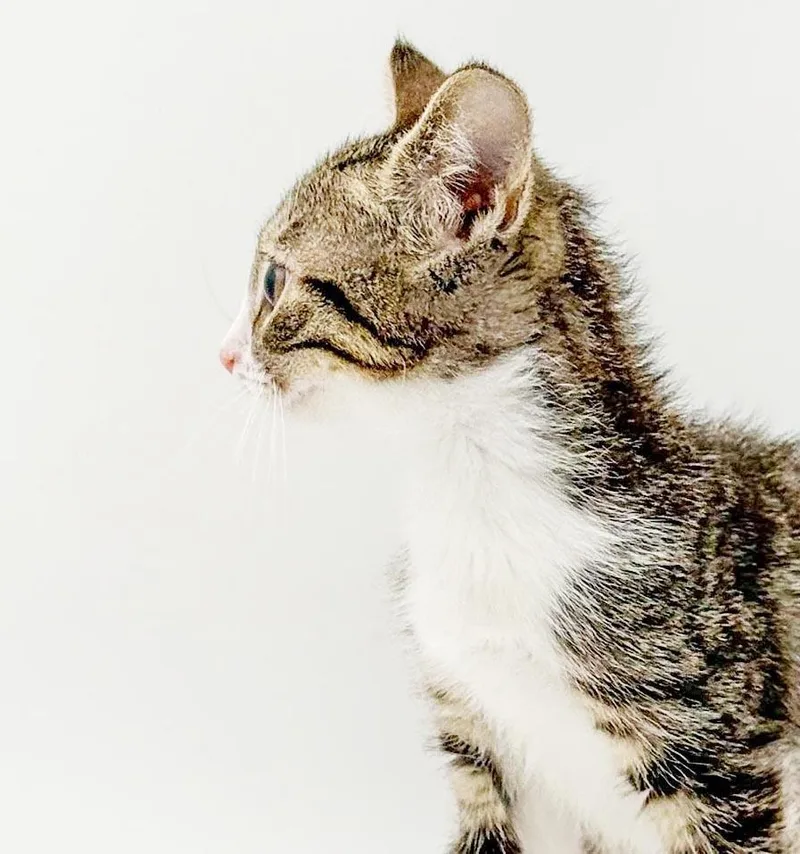 Lucy is a baby thumbnail 5