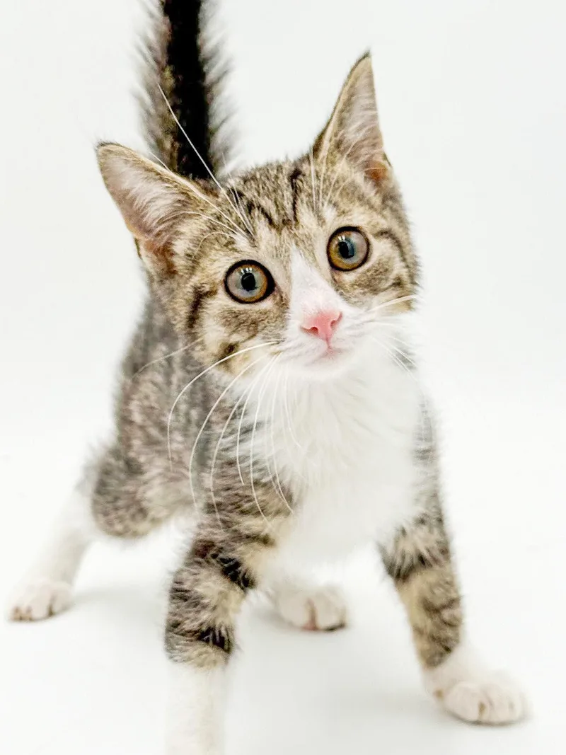 Lucy is a baby thumbnail 6