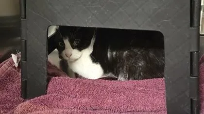 Worm On A String thumbnail 2