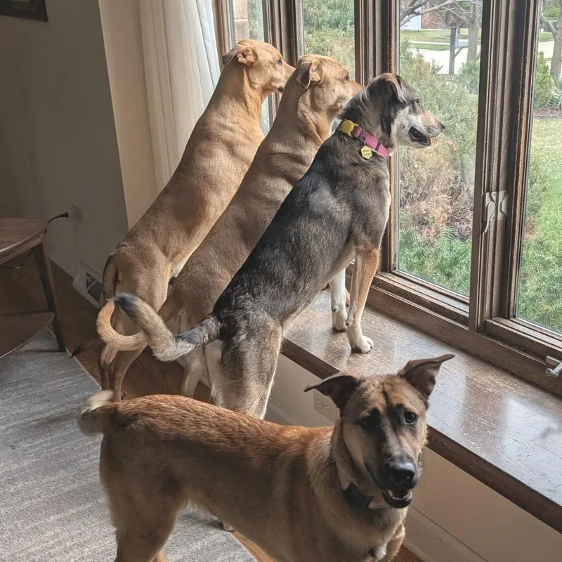 Bridgette thumbnail 2