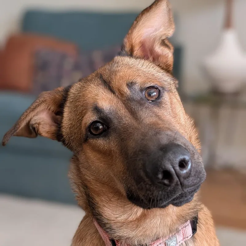 Bridgette thumbnail 3