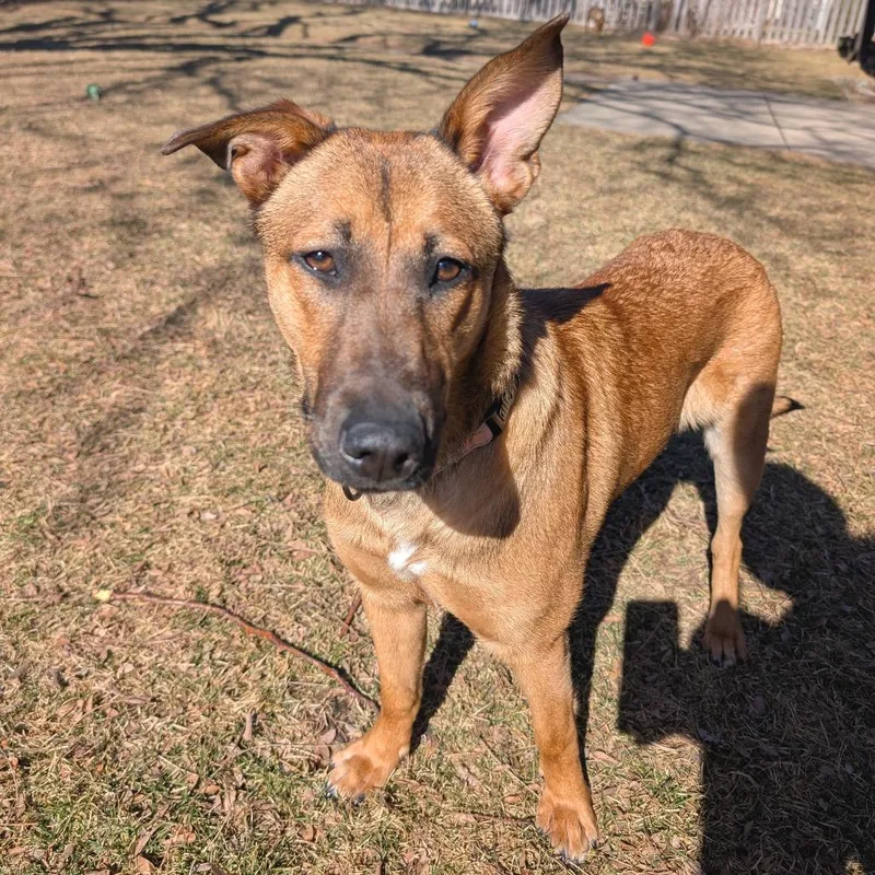 Bridgette thumbnail 4