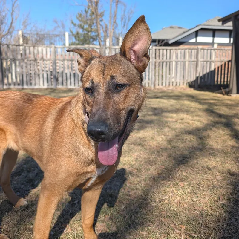 Bridgette thumbnail 5