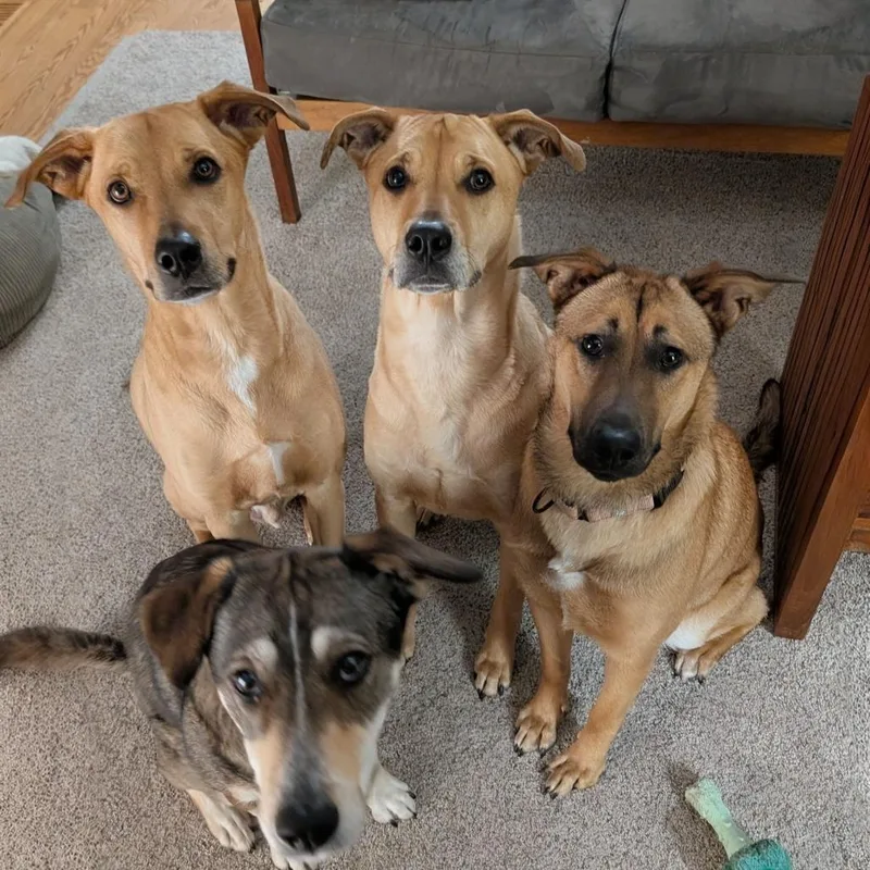 Bridgette thumbnail 6