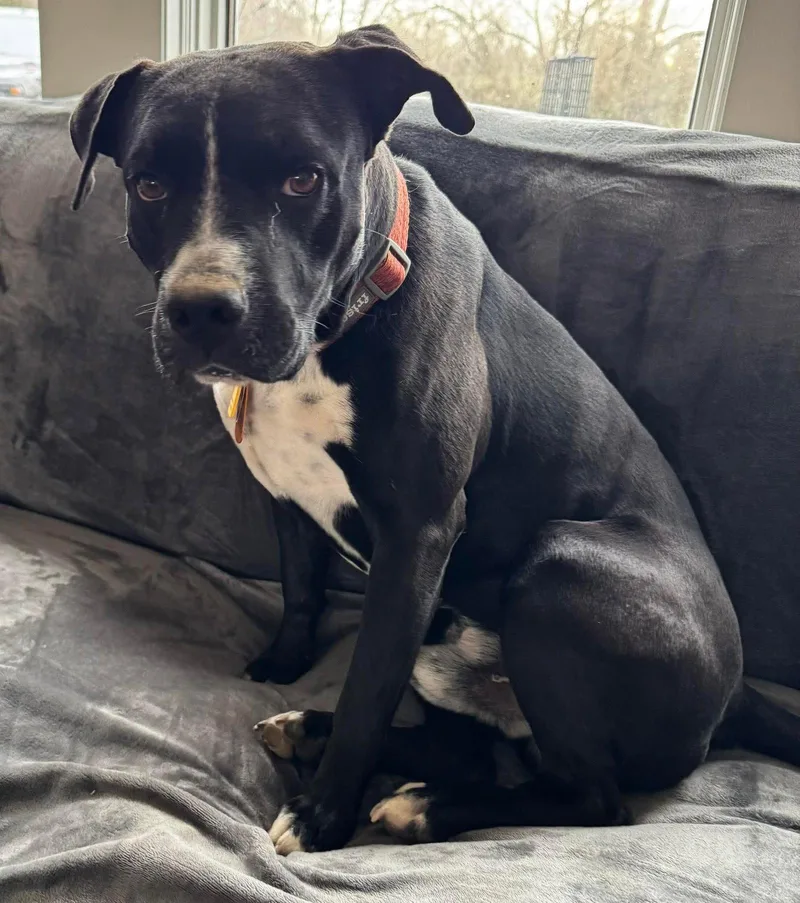 Damascus thumbnail 2