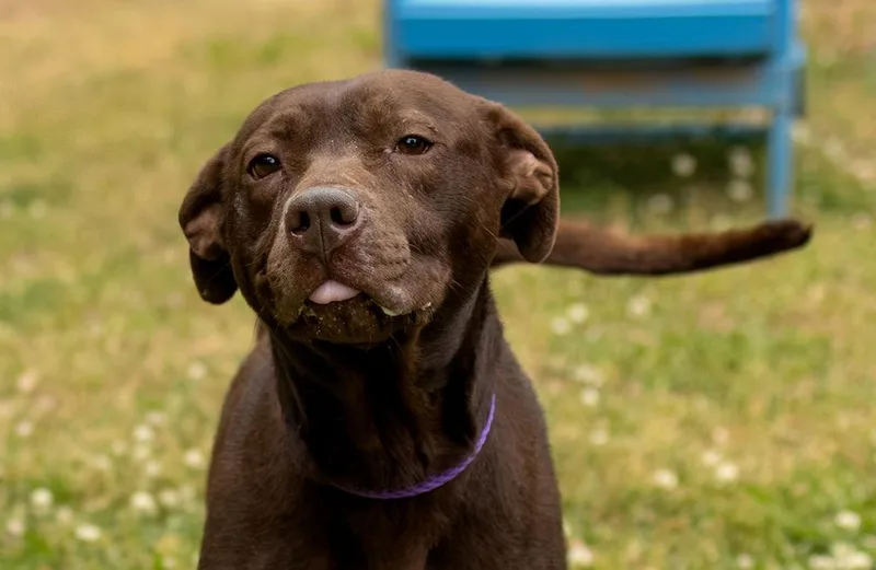 Safe Harbor thumbnail 2