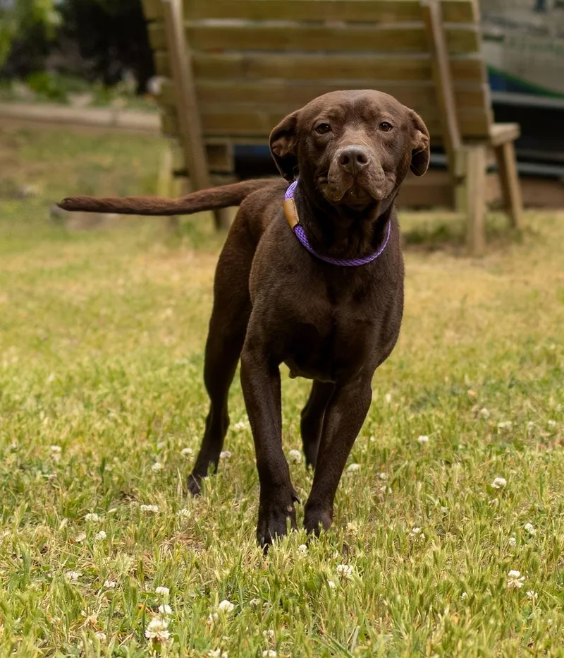 Safe Harbor thumbnail 3