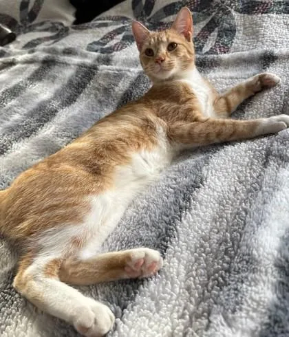 Dr. Malcolm thumbnail 2