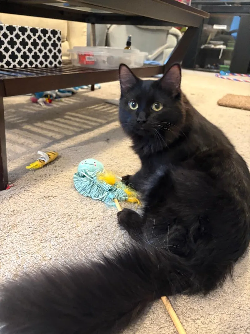 Jett And Finley thumbnail 4