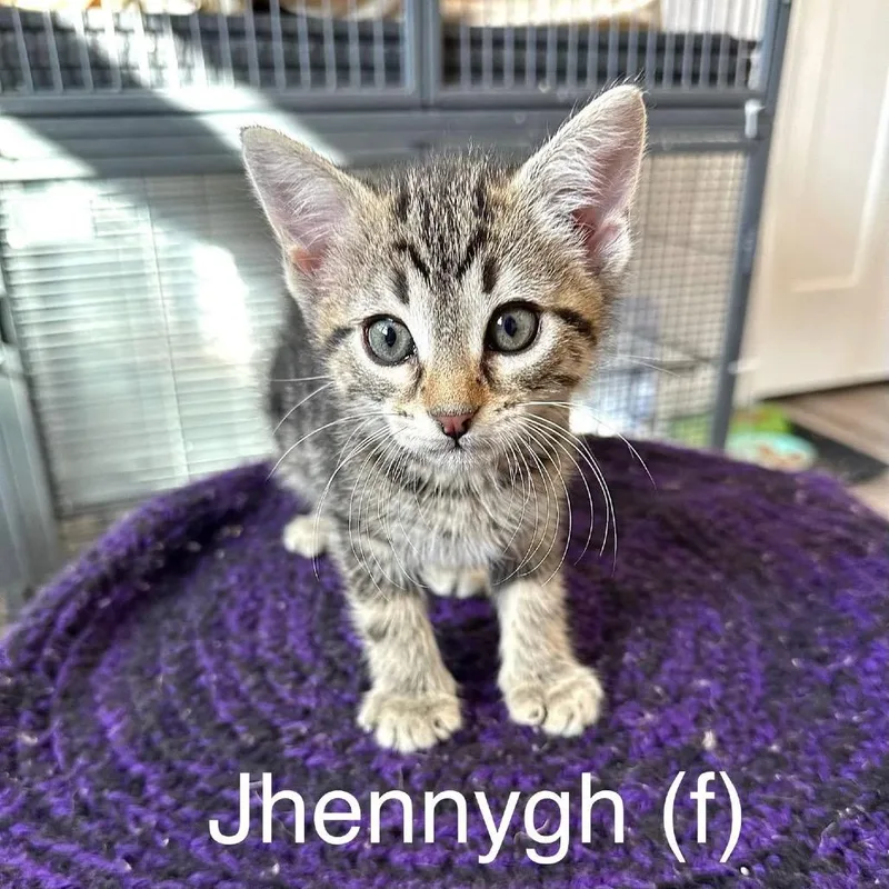 Jhennygh