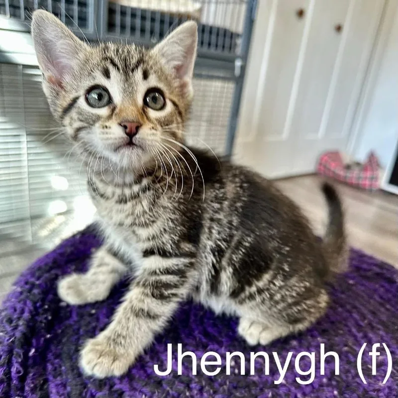 Jhennygh thumbnail 2