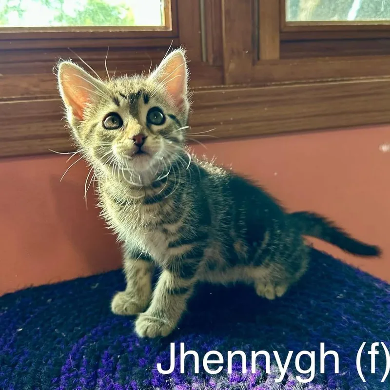 Jhennygh thumbnail 3
