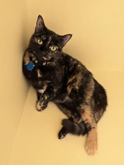 Fair~ Six Times Homeless