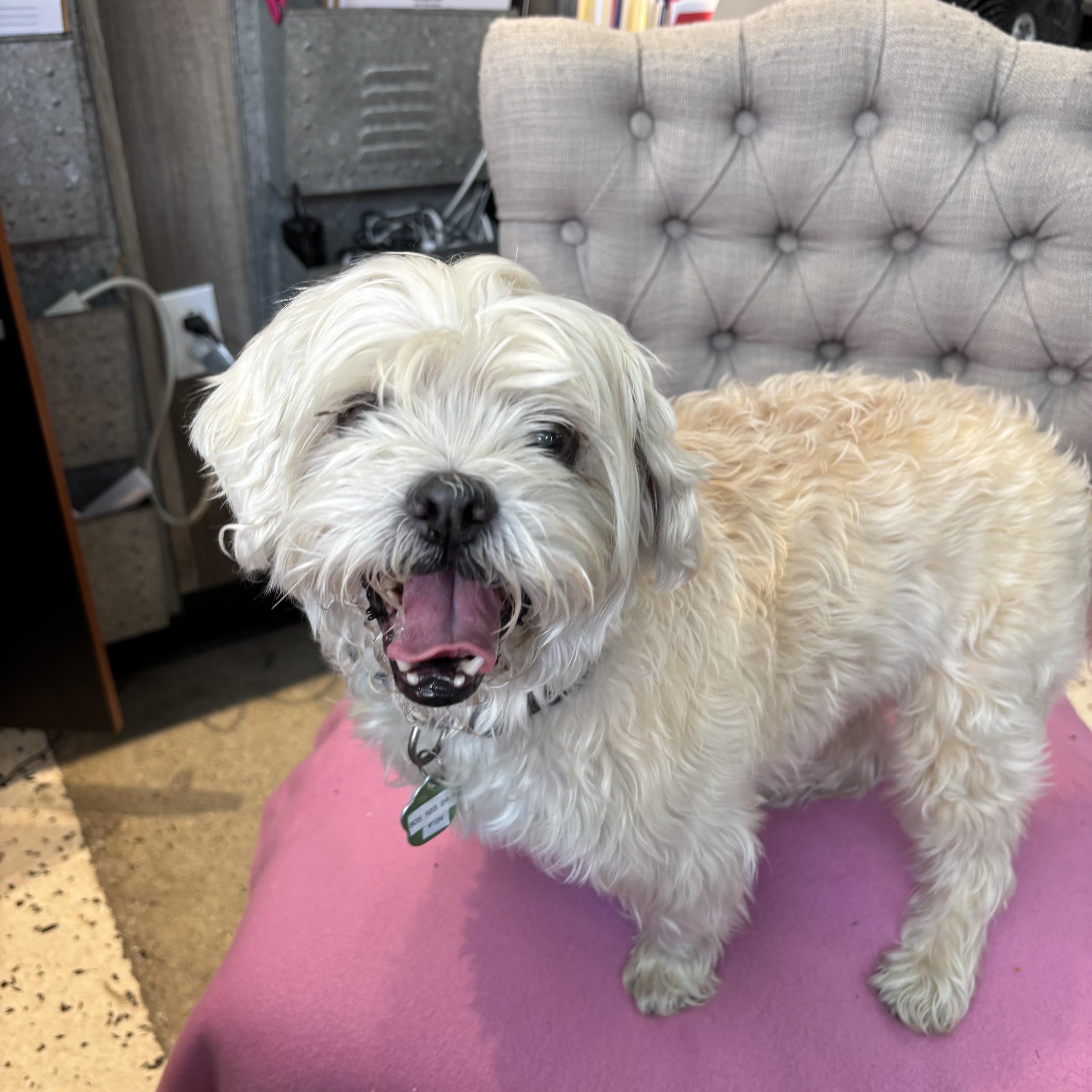 Summer Searcy thumbnail 2