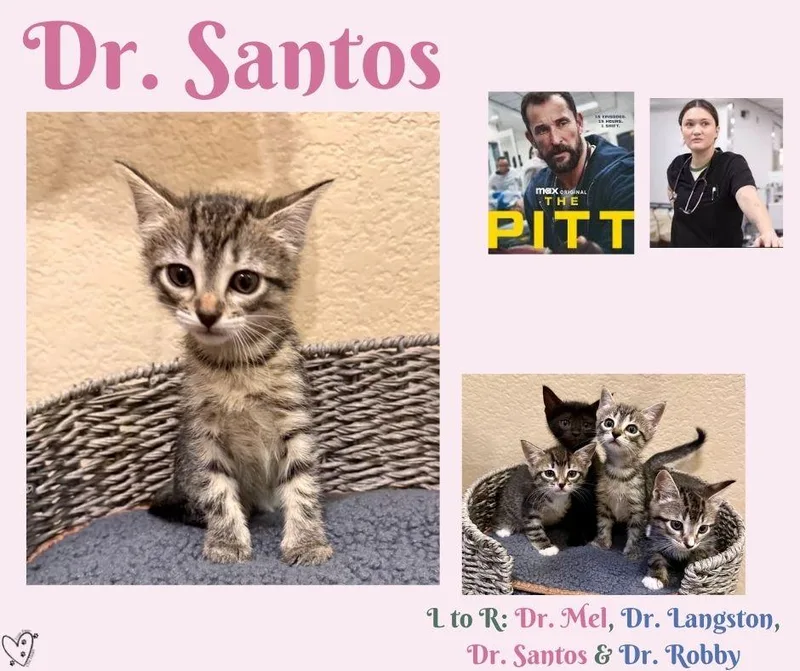 Dr. Santos thumbnail 4