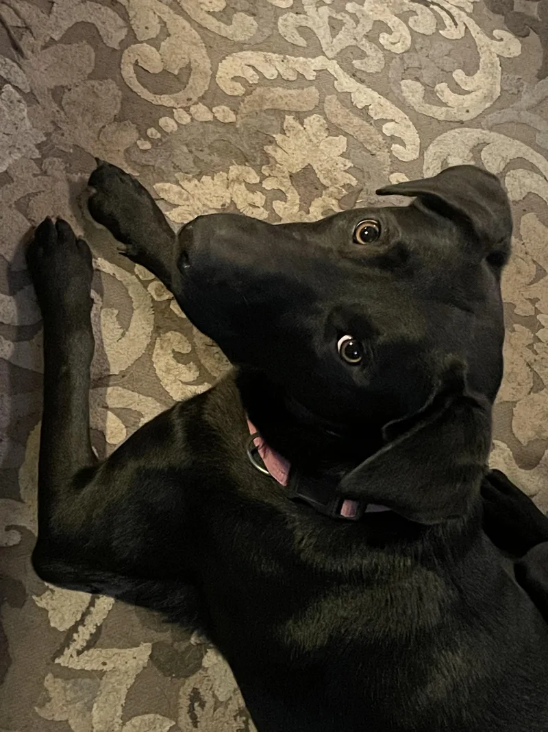 Kass Everly Elliott thumbnail 3