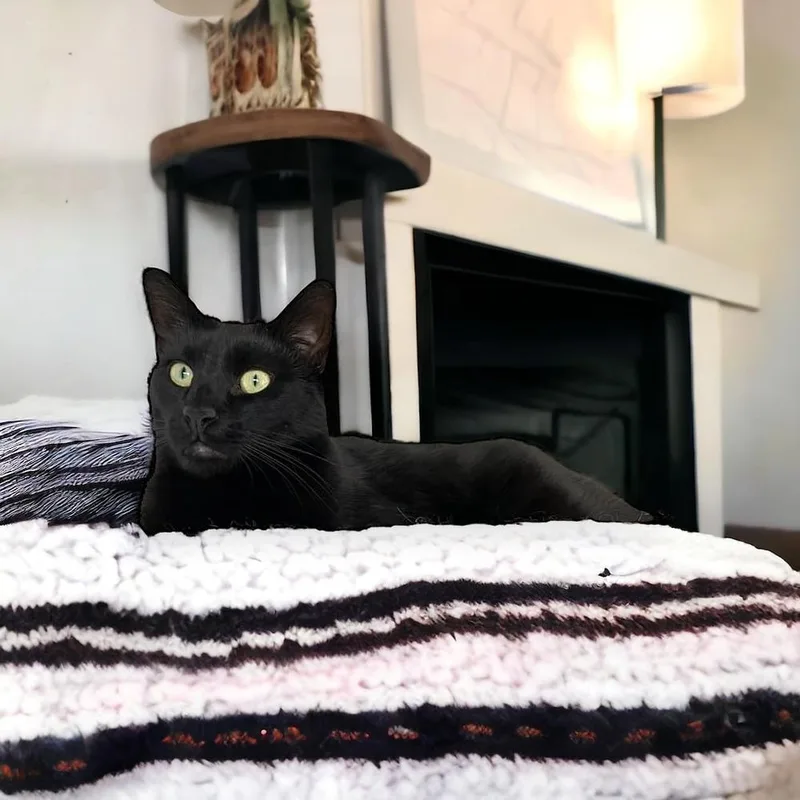 Duke Country Club Fiv+ thumbnail 3