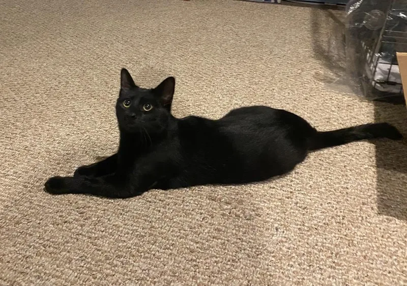 Duke Country Club Fiv+ thumbnail 5