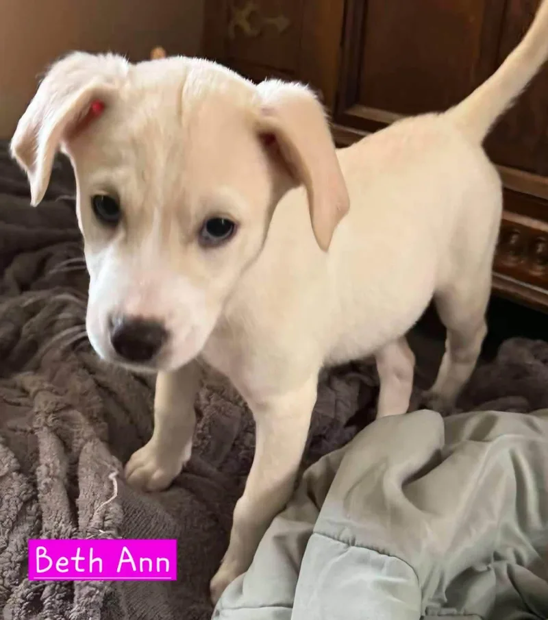 Beth Ann