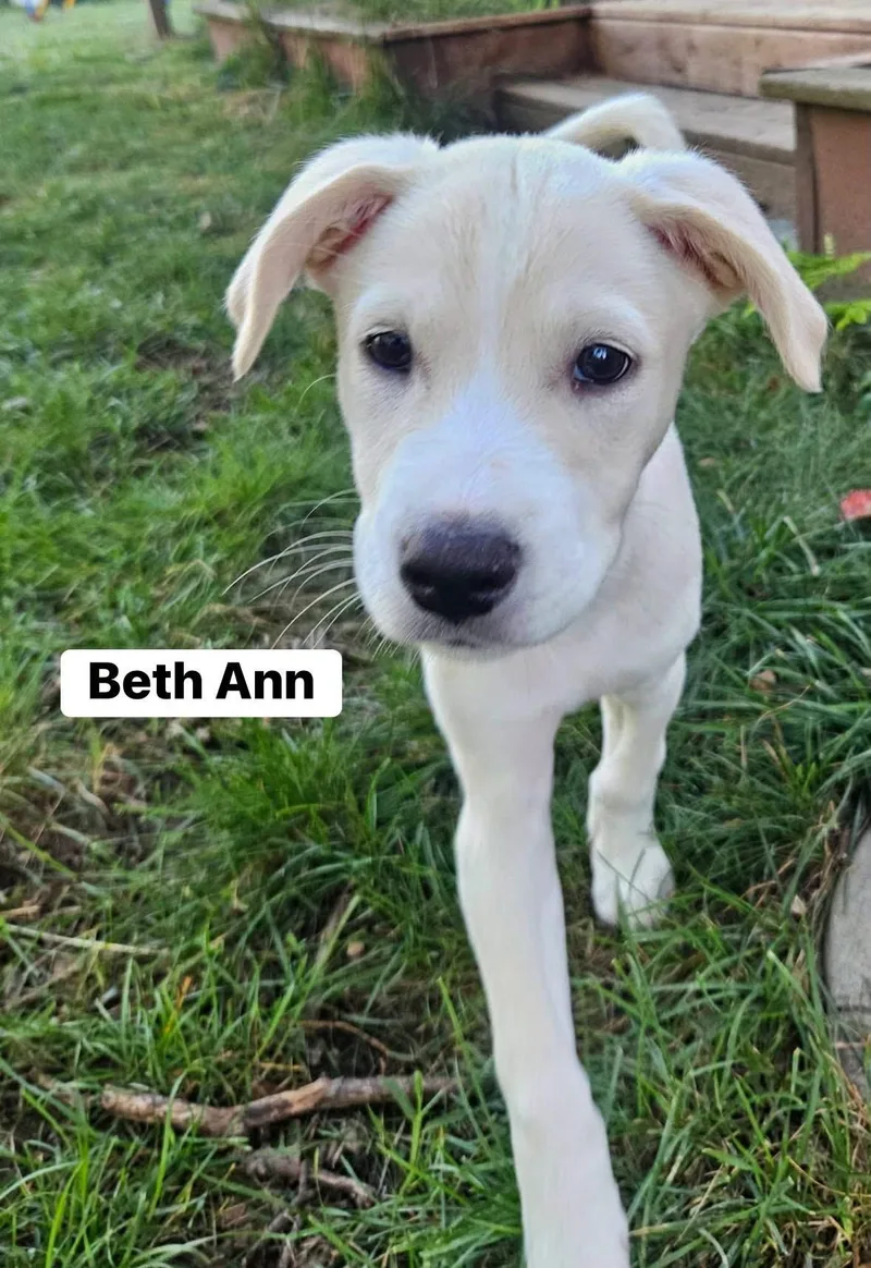Beth Ann thumbnail 2
