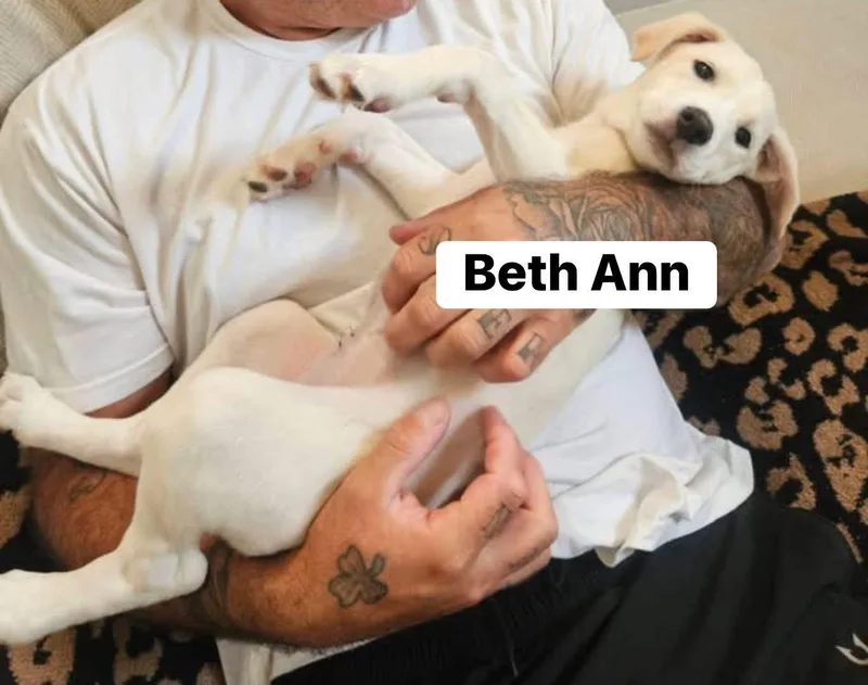 Beth Ann thumbnail 3