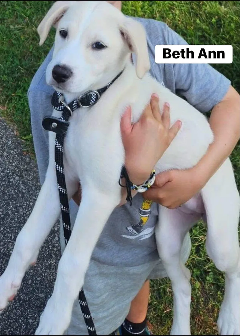 Beth Ann thumbnail 4