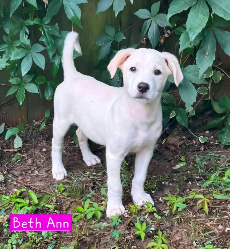 Beth Ann thumbnail 5