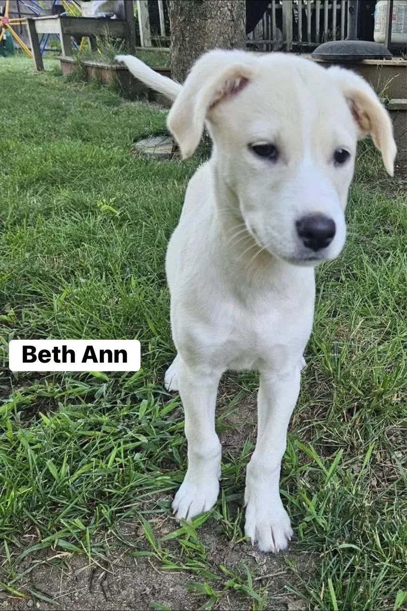 Beth Ann thumbnail 6