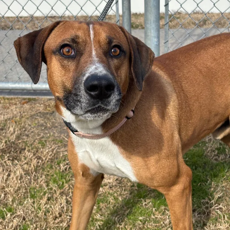 Bruno Mars thumbnail 2