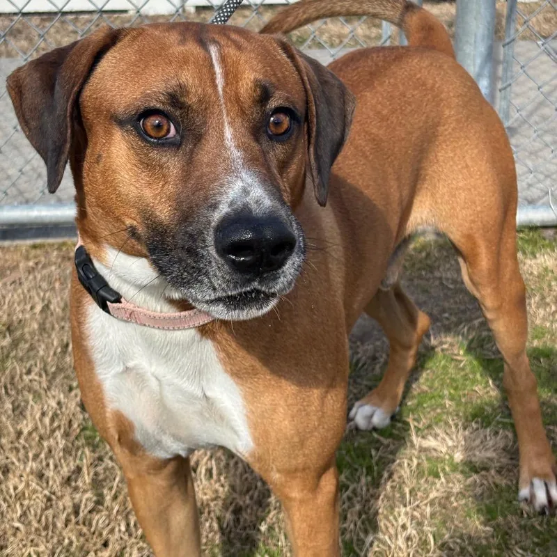 Bruno Mars thumbnail 3