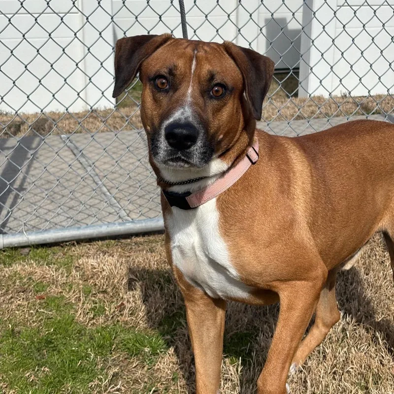 Bruno Mars thumbnail 4