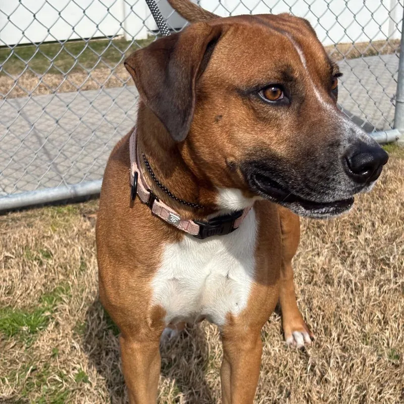 Bruno Mars thumbnail 5