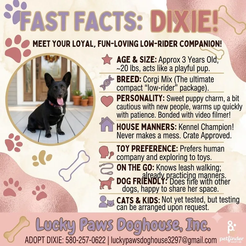 Dixie