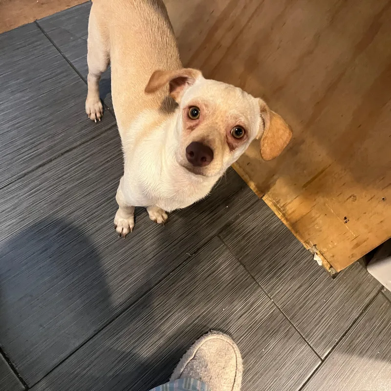 Lito "the Beach Baby thumbnail 4