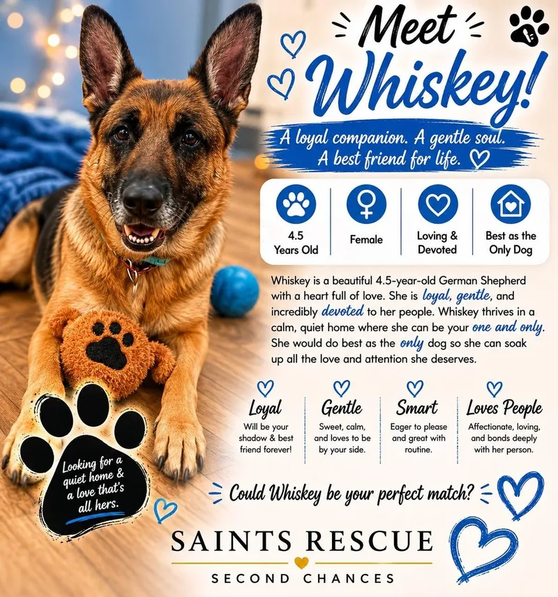 Whiskey thumbnail 4