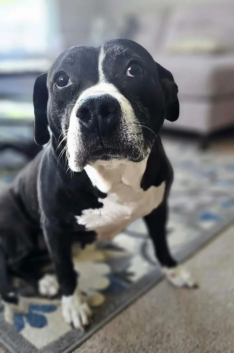 Rita